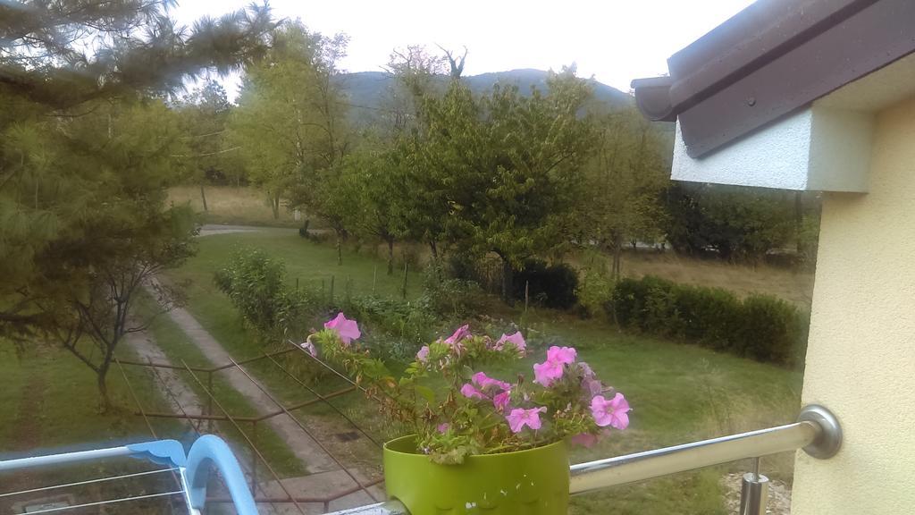 Drazice Apartment Frane Grobnik מראה חיצוני תמונה